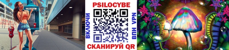 купить   Енисейск  Псилоцибиновые грибы Cubensis 